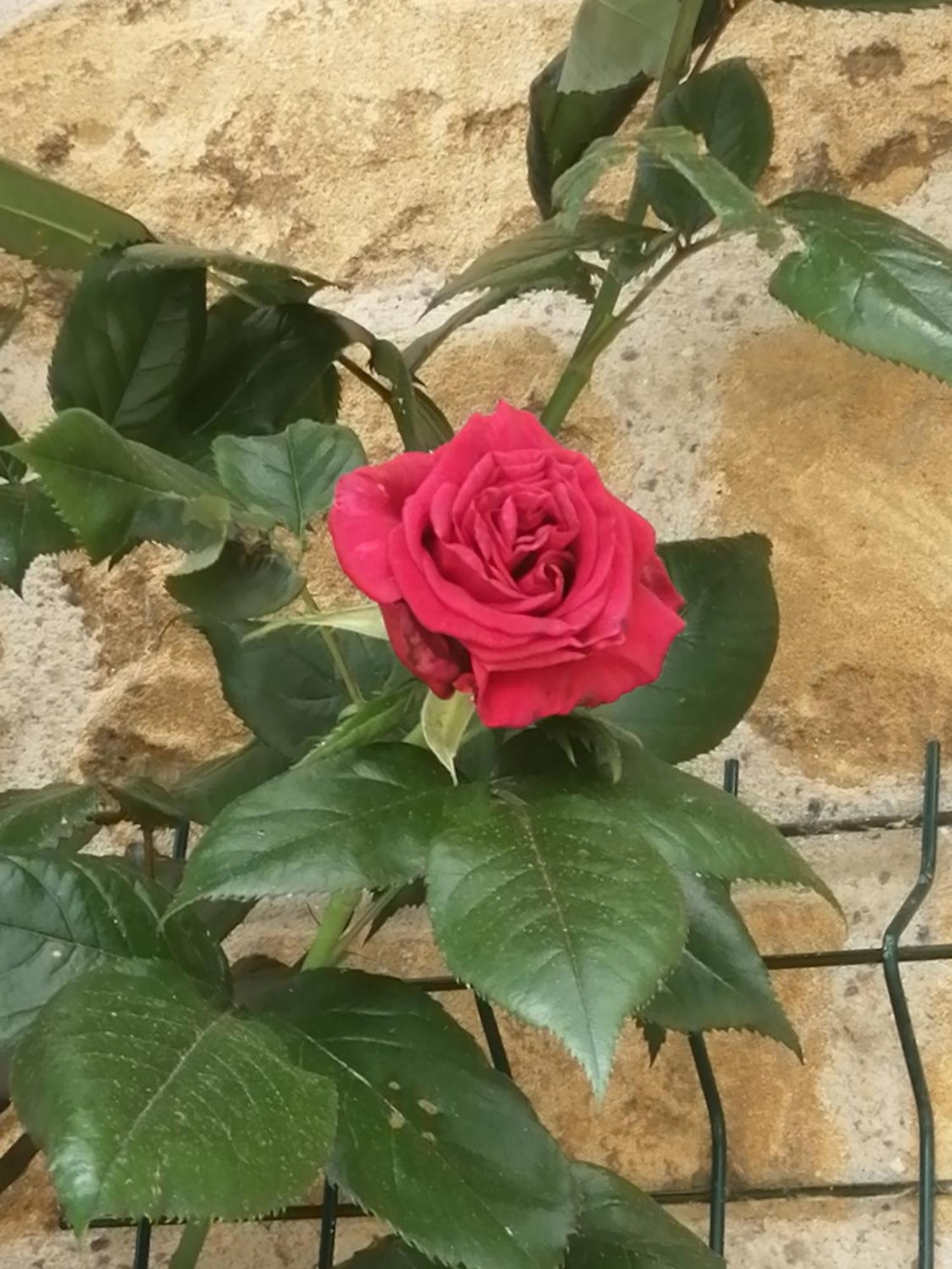 O Jardin De Boutancourt Villa Luaran gambar