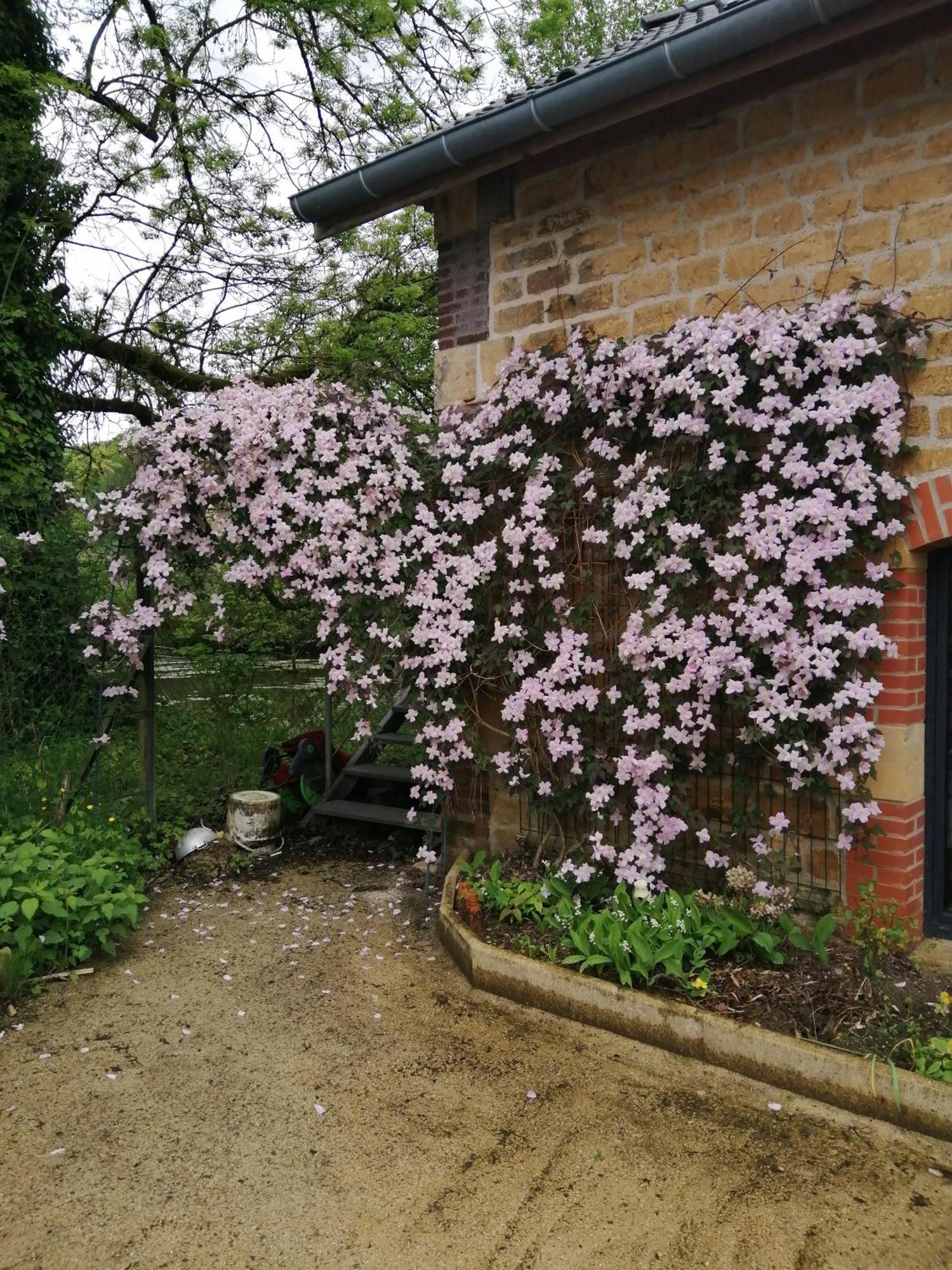 O Jardin De Boutancourt Villa Luaran gambar